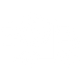 Fast Delivery